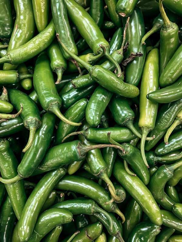 Jambon espagnol : tout savoir sur la race ibérique et la race blanche !